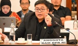Legislator Partai Gerindra Jangan Sampai Perusahaan Digital Global Untung Besar, Indonesia Hanya Jadi Pasar
