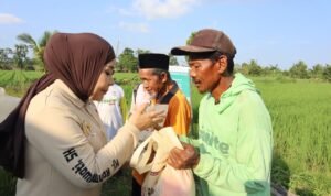 Legislator Gerindra, Hj. Rahmawati Program Prabowo Bikin Petani Makin Optimistis